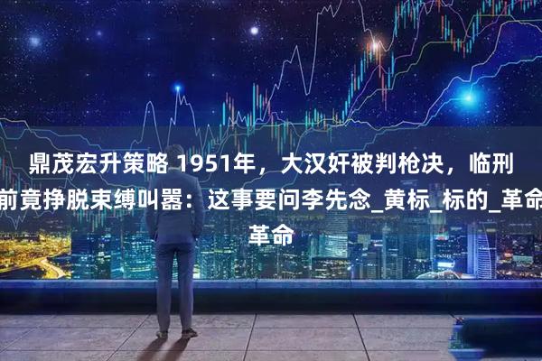 鼎茂宏升策略 1951年，大汉奸被判枪决，临刑前竟挣脱束缚叫嚣：这事要问李先念_黄标_标的_革命