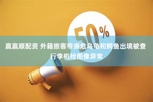 赢赢顺配资 外籍旅客带濒危乌龟和鳄鱼出境被查 行李机检图像异常
