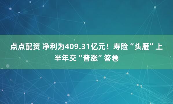 点点配资 净利为409.31亿元！寿险“头雁”上半年交“普涨”答卷