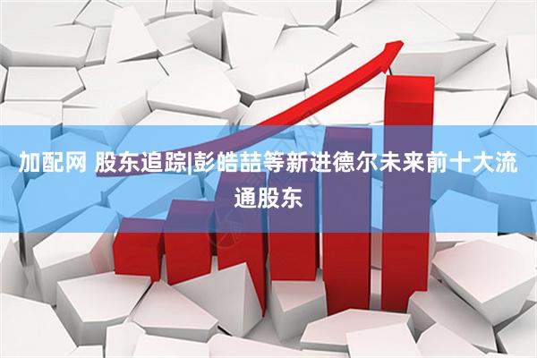 加配网 股东追踪|彭皓喆等新进德尔未来前十大流通股东