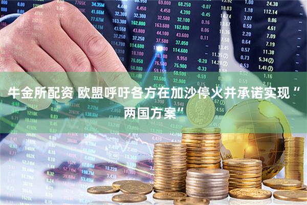 牛金所配资 欧盟呼吁各方在加沙停火并承诺实现“两国方案”