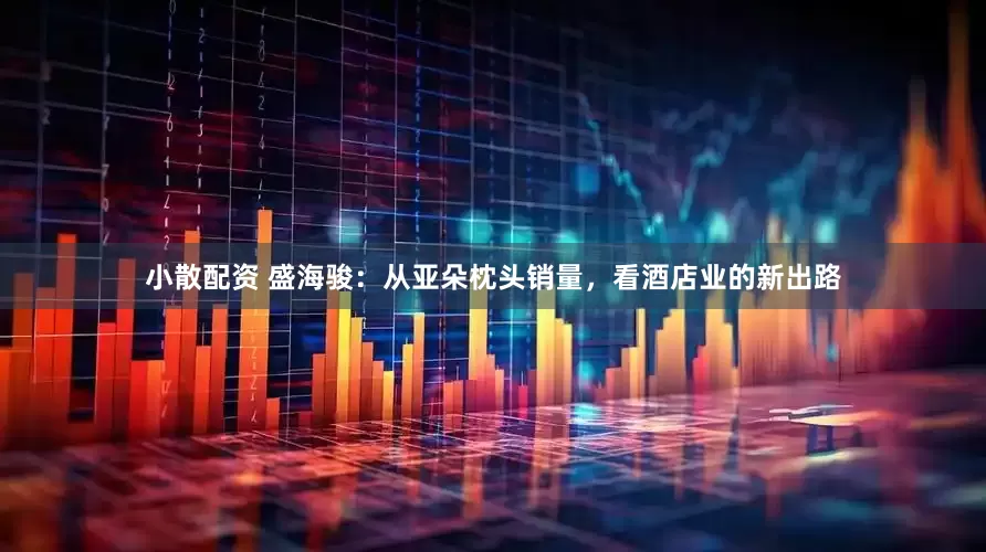 小散配资 盛海骏：从亚朵枕头销量，看酒店业的新出路